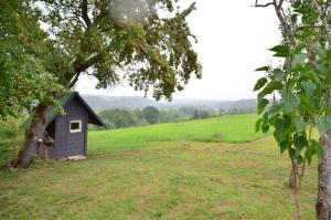 Zahrada ubytování Tiny house Ružēni