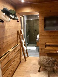 um quarto com uma casa de banho com uma televisão e um chuveiro em Alpin Hotel Garni Eder - Private Living em Mayrhofen