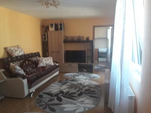 a living room with a couch and a tv at Olimpia Apartments in Alba Iulia