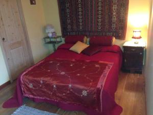um quarto com uma cama grande e um cobertor vermelho em Il Ciliegio em Imer