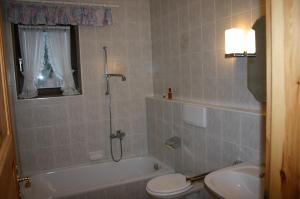 a bathroom with a shower and a toilet and a sink at Fewo Nr. 15 Haus Konradgut in Sankt Lorenzen ob Murau