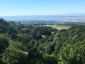 Photo de la galerie de l'établissement L'Enquenouille Basse, à Verdun-en-Lauragais