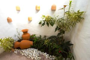 un jardín con una calabaza y plantas en una pared en Rio Da Barra Villa Hotel, en Trancoso