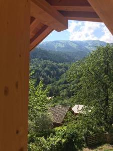 木屋周边自然景观