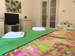 a bedroom with a large green bed with a television at Rosmarinus Apartman in Pécs