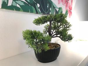 Gallery image of Rosmarinus Apartman in Pécs