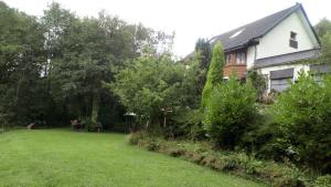 einen Hof mit einem Haus und einigen Büschen und Bäumen in der Unterkunft Cilbrwyn in Swansea