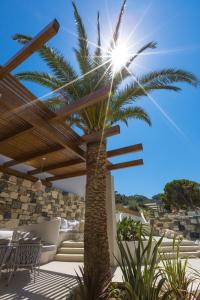 una palmera en el patio de una villa en Samian Mare Hotel, Suites & Spa, en Karlovasi