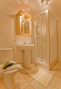 a bathroom with a toilet and a shower and a sink at Chalet Bois - Chamonix in Chamonix