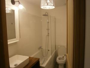 a bathroom with a shower and a toilet and a sink at Le gite d'à côté in Fons-outre-Gardon