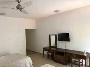 um quarto com uma cama e uma secretária com uma televisão em Hotel SKY & PALMS em Xochitepec