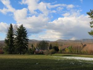 a green field with trees and mountains in the background at Haus Presse in Walkenried