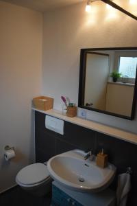 a bathroom with a sink and a toilet and a mirror at Schöne EinZimmer Wohnung Zwischen Bodensee und Allgäu in Neukirch