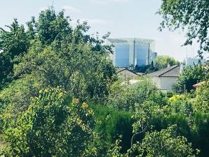 a group of trees and bushes with buildings in the background at CosyStudio2 Site du Futuroscope in Jaunay-Marigny