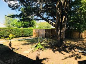 een boom in een tuin naast een stenen muur bij CosyStudio2 Site du Futuroscope in Jaunay-Clan