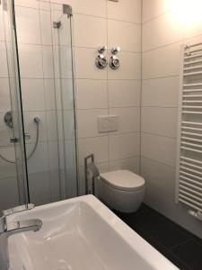 a bathroom with a toilet and a sink and a tub at Louisenstraße 31 in Dresden