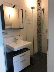 ein Badezimmer mit einem weißen Waschbecken und einer Dusche in der Unterkunft Louisenstraße 31 in Dresden