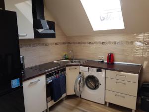 a kitchen with a sink and a washing machine at Sarna Karkonosze in Bukowiec