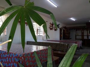 tavolo e sedie in una stanza con una pianta di Pousada Recanto Águas Vivas a Turvo dos Góis