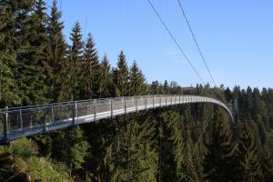 a suspension bridge in the middle of a forest at Relax in Bad Wildbad