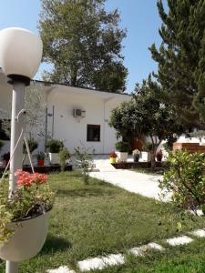 una casa blanca con plantas en un patio en Guesthouse Villa Juri en Berat