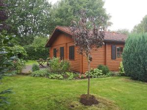 eine Blockhütte in einem Garten mit einem Baum in der Unterkunft Blockhausperle im Grunen in Oldenburg