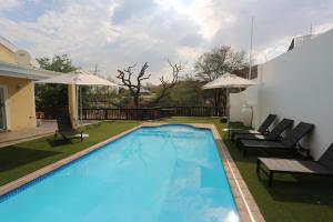 a large swimming pool with chairs and umbrellas at Villa Moringa Guesthouse in Windhoek