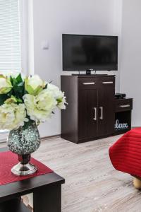 a living room with a television and a vase of flowers at Apartmány RELAX Podhájska in Podhájska