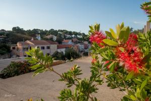 Fotografie z fotogalerie ubytování Amaryllis residence, apartment Diana & Deluxe rooms with shared kitchen v destinaci Veli Lošinj