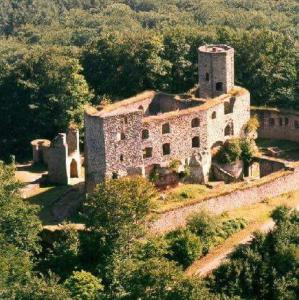 Ferienwohnung Frank في Merzalben: مبنى حجري قديم وسط غابه