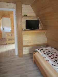 a room with a tv and a bed in a cabin at Mandauhaus mit Sauna in Hainewalde