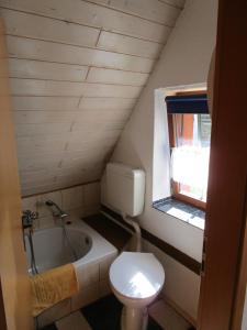 a small bathroom with a toilet and a bath tub at Alter Pferdestall in Hainewalde