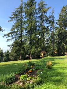 A garden outside Vila Horec, Vysne Hagy