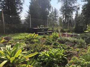 A garden outside Vila Horec, Vysne Hagy
