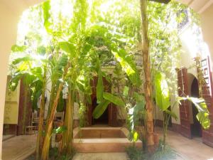 a building with a bunch of trees and stairs at Dar El Calame in Marrakech