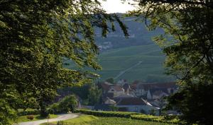 uma estrada sinuosa numa pequena aldeia com campos verdes em Roulotte la Dominique em Romery