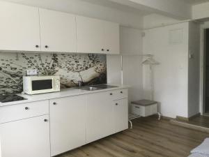A kitchen or kitchenette at Vila Horec, Vysne Hagy