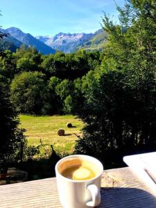 una tazza di caffè su un tavolo con vista su un campo di Le Chant de l'eau a Garin