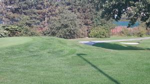 Golf pri apartmáne alebo okolí