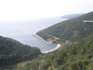 Príroda v okolí apartmánu