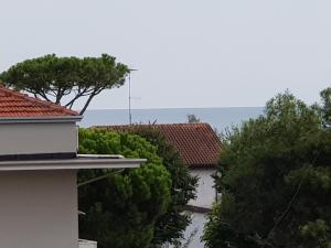 Příroda nedaleko hotelu