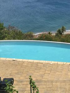 una piscina azul con el océano en el fondo en Morne Charlotte en Le Carbet