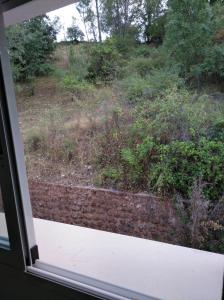 Zahrada ubytování Pensión Rural Arroyo la Teja