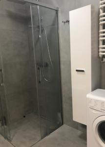 ポゴジェリツァにあるMorski z ogródkiemのバスルーム(ガラスドア付きのシャワー付)