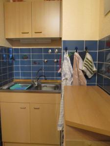 una pequeña cocina con fregadero y encimera en Wohnen wie bei Freunden, en Braunlage