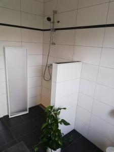 La salle de bains est pourvue d'une douche et d'une plante. dans l'établissement Seepferdchen, à Zingst
