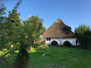 Zahrada ubytování Grundhof Wolfskrug