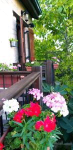 a group of pink and white flowers next to a bench at Magdalous House in Arsos