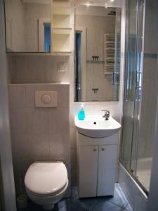 Ένα μπάνιο στο Bukowska Apartment