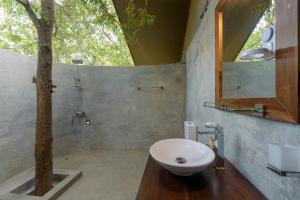 a bathroom with a sink and a tree in it at Kottawatta Village in Udawalawe